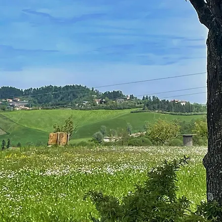 Lovely In With Wifi Appartamento Loiano